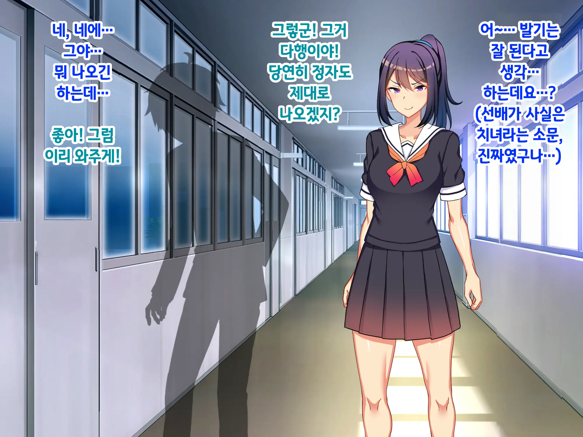 Sou Seisen Hime Holy Knights, Sennou Kaizou Songen Hakai, Seigi No Henshin Hiroin Ga Ganimata Pose De Machi O Osou Hentai Buzama Kaijin Ni Naru Made